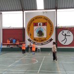 Juego Badmington